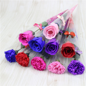 康乃馨肥皂花 禮品花卉中的創(chuàng)新與溫情